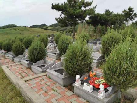 朝阳墓园-铁岭市可靠的墓园规划推荐