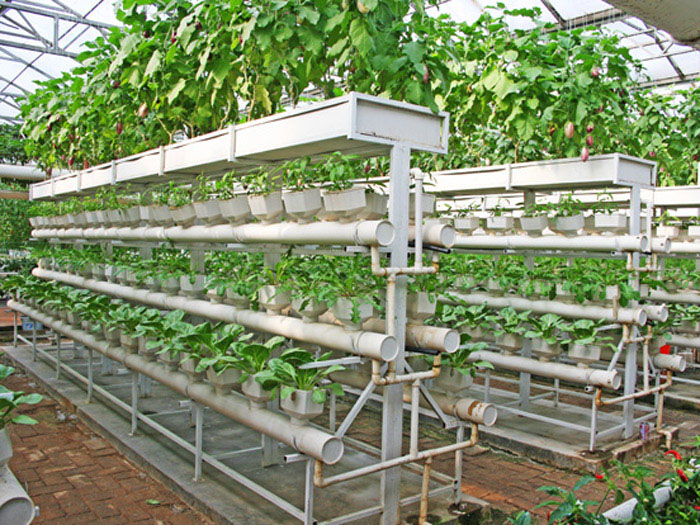 蔬菜温室大棚建造-山东质量好的温室大棚