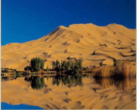 沙漠旅行社价格|阿拉善盟具有口碑的大众群体旅游景区推荐