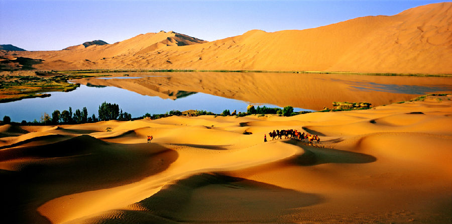 呼市沙漠骑驼去哪找-提供阿拉善汽车冲浪旅游场所