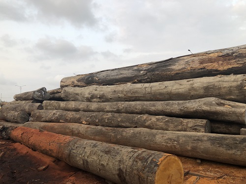 木料提供商-海南品牌好的海南木材厂推荐
