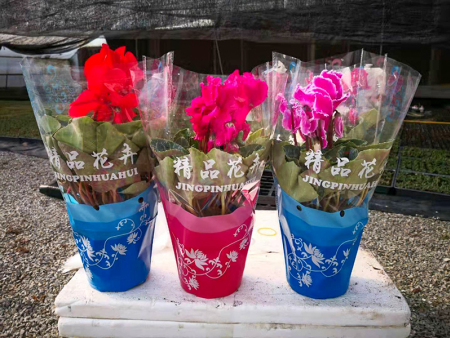 北京花卉梯形塑料包装袋供应
