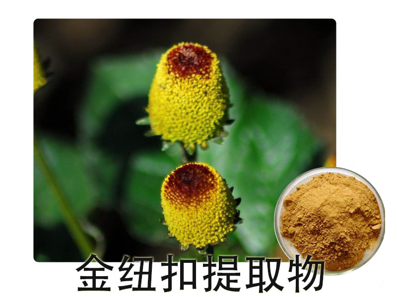 金纽扣提取物供应厂家-旭丽金生物科技提供不错的化工原料