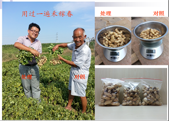 青海玉米叶面肥厂家直销,土豆叶面肥批发价格