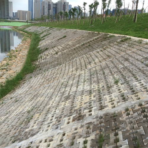 陕西河道生态护坡砖-延安生态河道连锁护坡砖