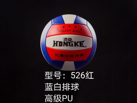 天津个性排球-厦门实惠的篮球供销