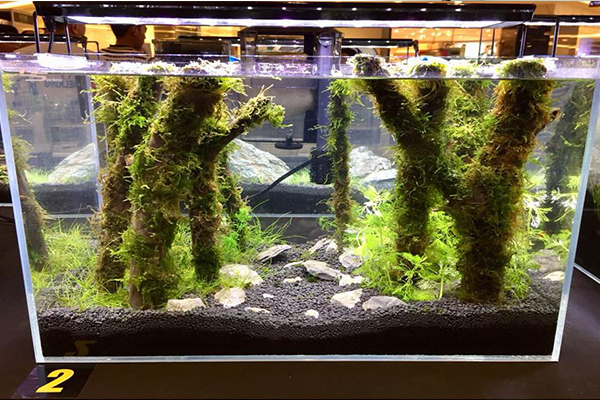 镇江市创意水族馆批发厂家,玻璃水族馆厂家电话