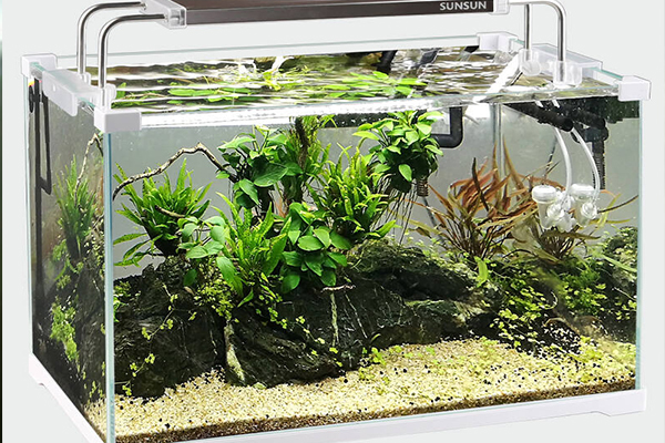 新沂市鱼缸过滤器批发价格,鱼缸过滤器哪家好