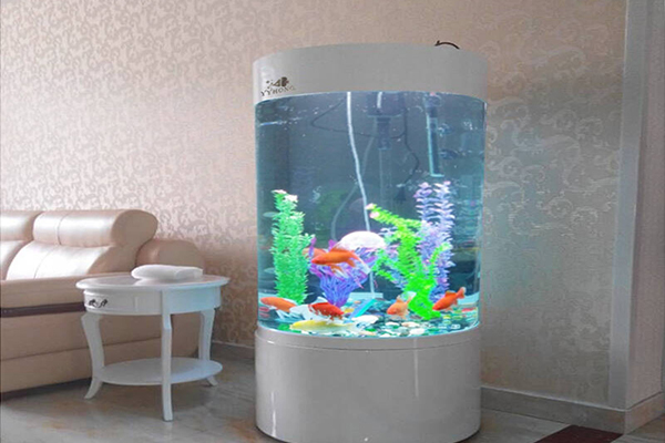 海安市大型幾何生態(tài)魚缸廠家電話
