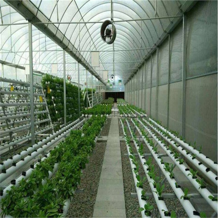 安徽蔬菜种植玻璃温室厂家,连栋玻璃温室公司