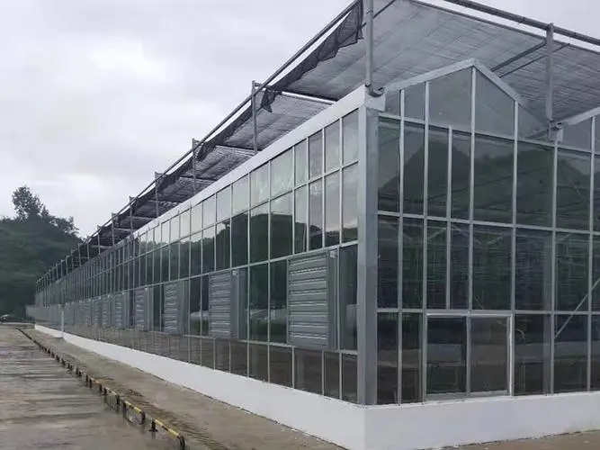 江西花卉玻璃温室建造,温室大棚报价