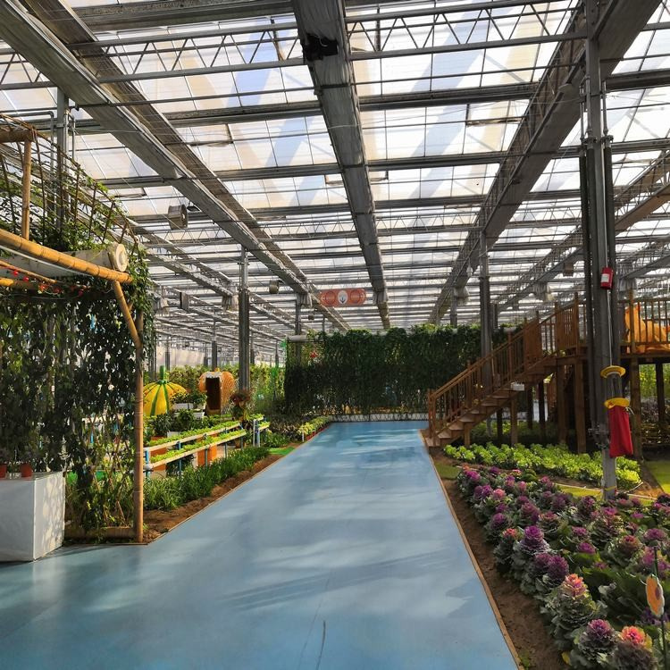 陕西菌菇阳光板温室订购,养殖阳光板温室公司