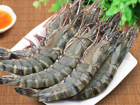 广东斑节虾加盟批发市场