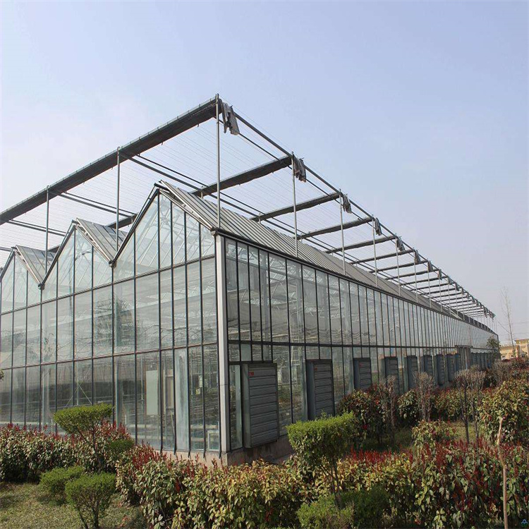 贵州草莓玻璃温室多少钱