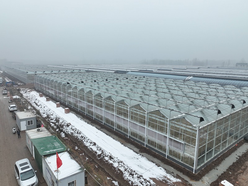 内蒙古玻璃温室多少钱,纹络式玻璃温室建造商