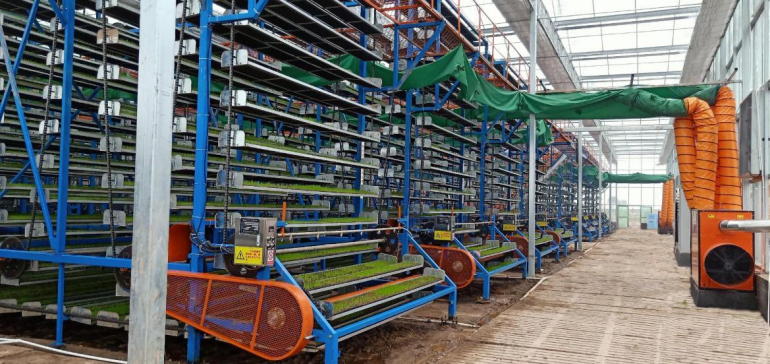 湖南循环运动式育秧设备厂家,智能化水稻育秧设备生产设备厂家