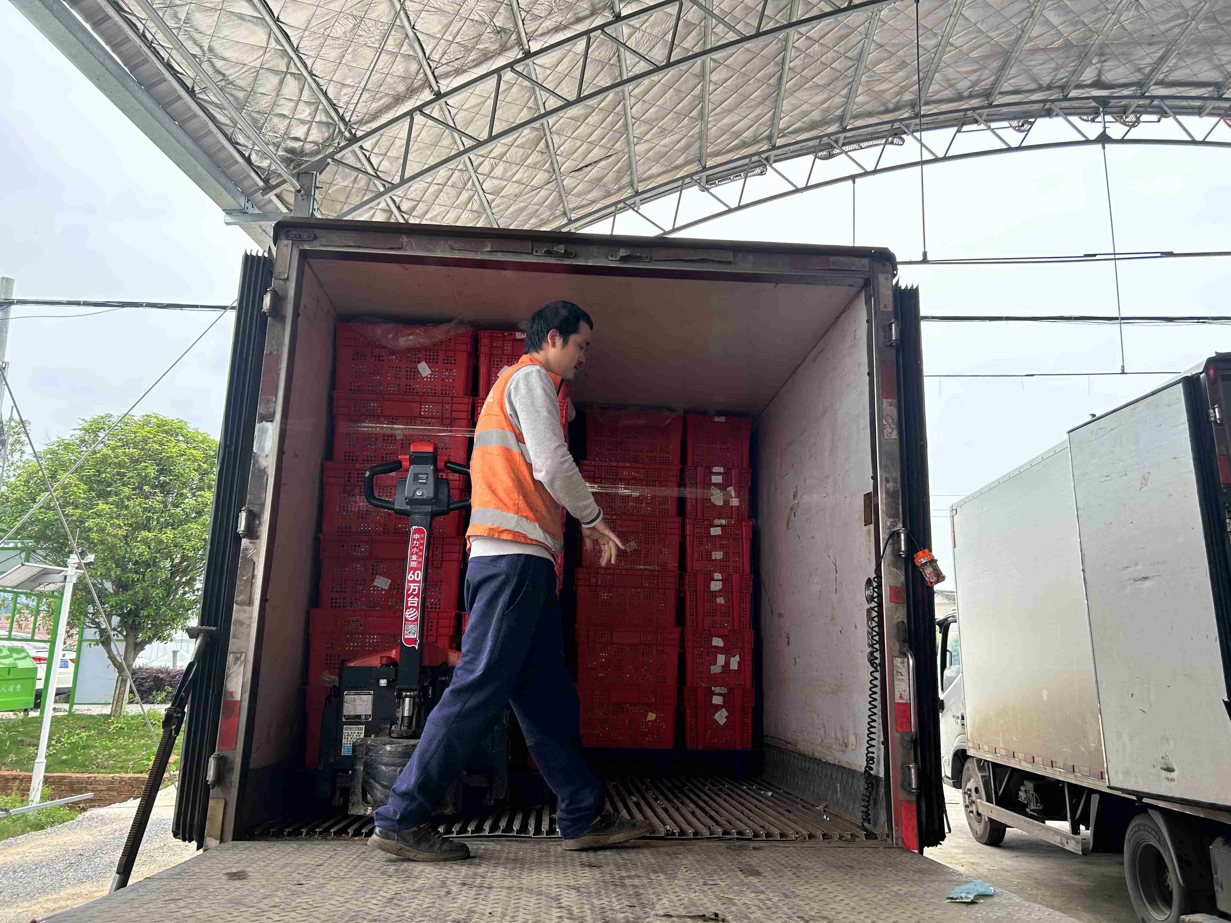 广西反季蔬菜批发市场