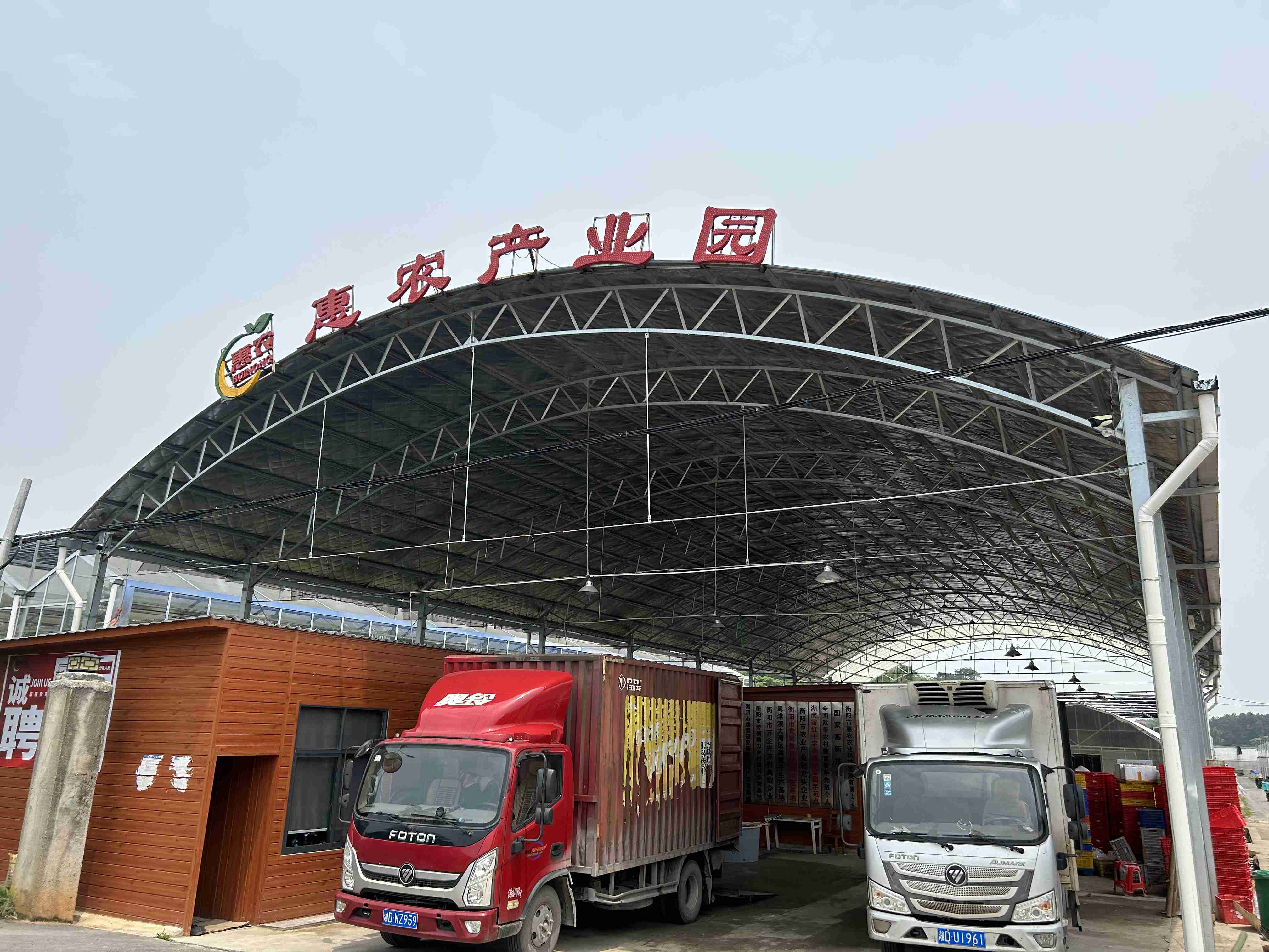 江苏水果供应商