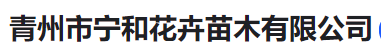 青州市宁和花卉苗木有限公司