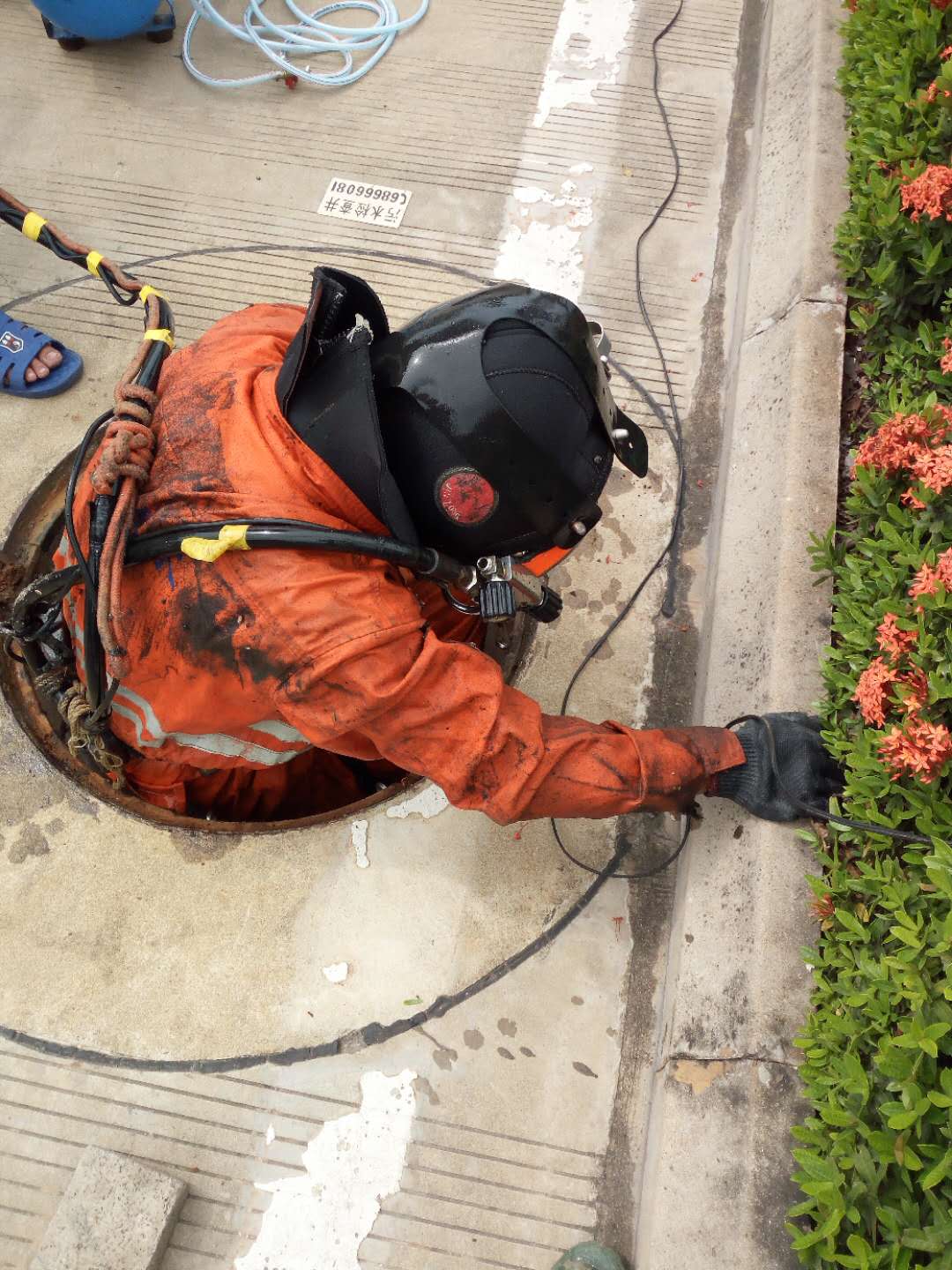 珊瑚礁种植检测