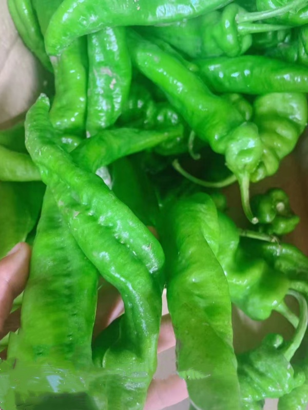 廛河食材配送联系方式