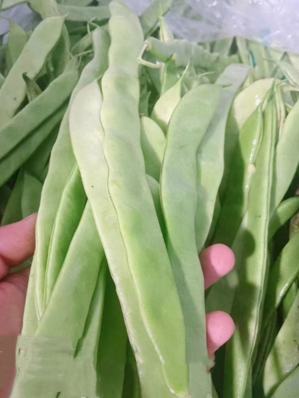 建湖政府食堂食材配送价格