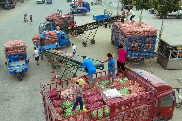 焦作农副产品批发经营方式