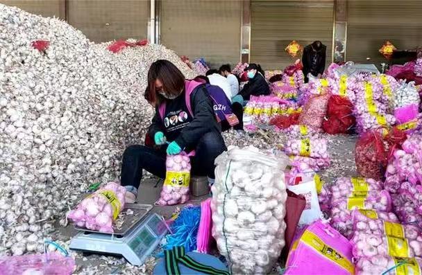 焦作农副产品批发经营方式