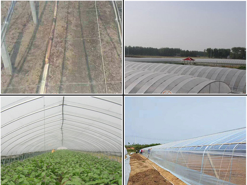 山西紫光膜加工