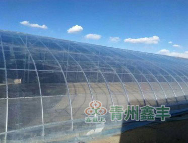 寿光塑料棚膜厂家