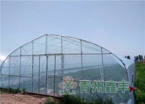 北京塑料薄膜批发