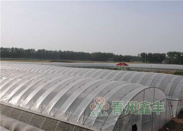 北京消雾膜生产厂家