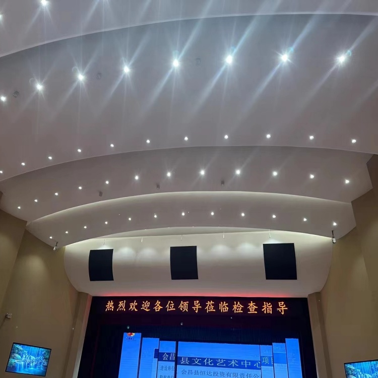 河北GRG企业报告厅工厂