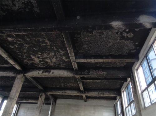 六安火灾灾后房屋检测机构